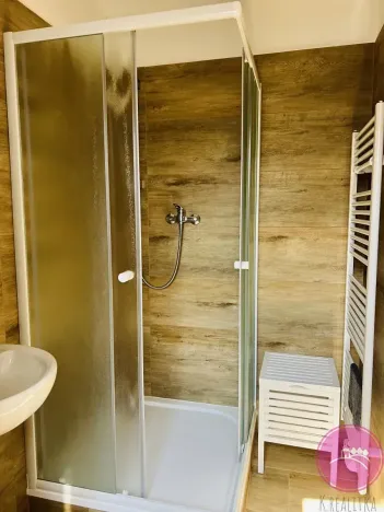 Pronájem bytu 1+kk, Olomouc, Uhelná, 40 m2