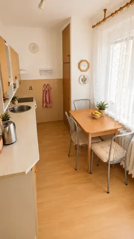 Prodej bytu 2+1, Mělník, Oldřicha Wenzla, 52 m2