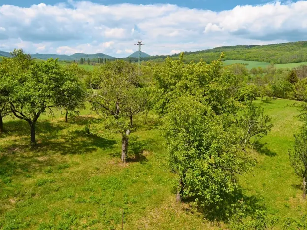 Prodej pozemku pro bydlení, Třebenice, 5844 m2