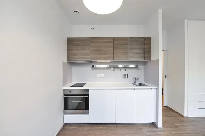 Pronájem bytu 1+kk, Praha - Vinohrady, Lucemburská, 30 m2