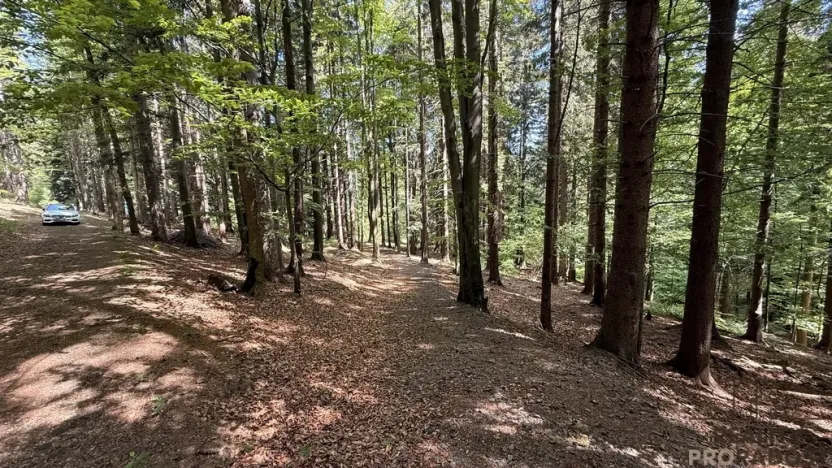 Prodej chaty, Krásná, 50 m2
