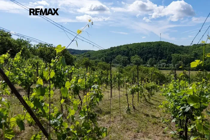 Prodej zahrady, Moravské Bránice, 2403 m2