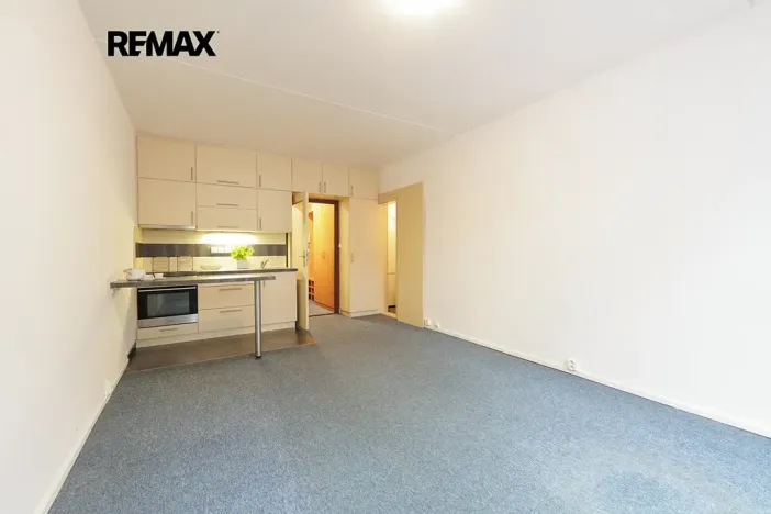 Prodej bytu 1+kk, Praha - Hodkovičky, Pod lysinami, 29 m2