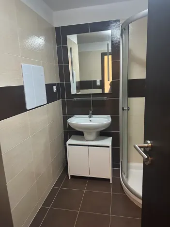 Pronájem bytu 1+kk, Plzeň, Štefánikova, 30 m2