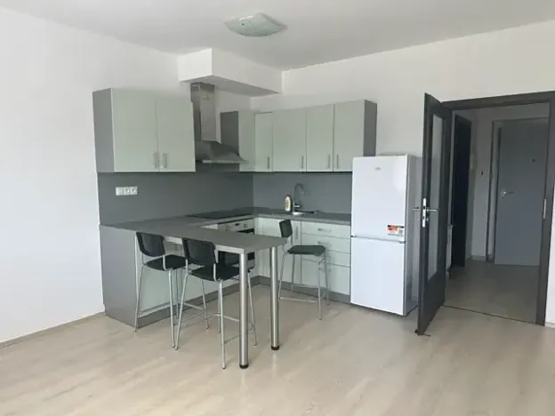 Pronájem bytu 1+kk, Plzeň, Štefánikova, 30 m2