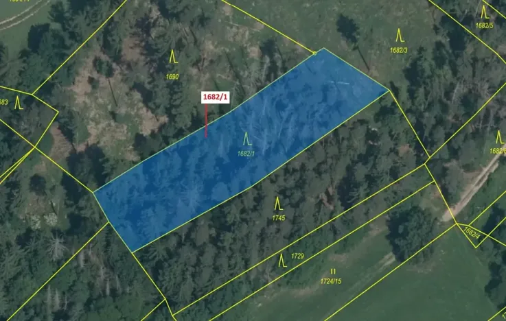 Dražba lesa, Trhový Štěpánov, 2201 m2