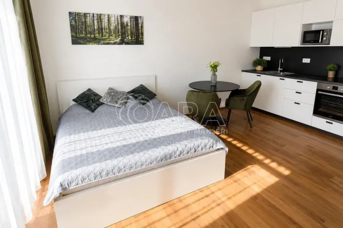 Pronájem bytu 1+kk, Praha - Holešovice, V závětří, 34 m2