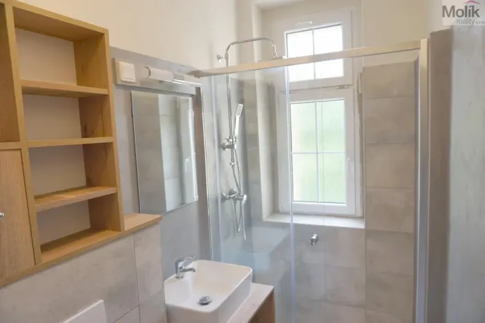Pronájem bytu 1+1, Litvínov - Horní Litvínov, Vrchlického, 36 m2