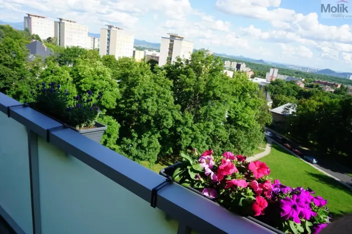Prodej bytu 3+1, Litvínov - Horní Litvínov, Tylova, 64 m2