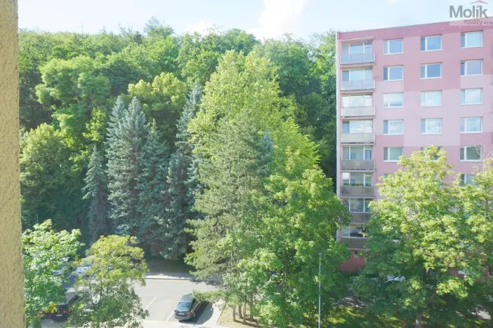 Prodej bytu 3+1, Litvínov - Horní Litvínov, Tylova, 64 m2