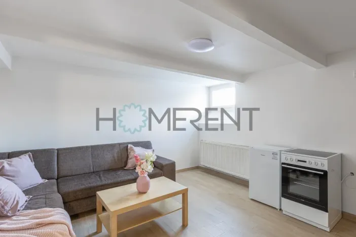 Pronájem bytu 1+kk, Mladá Boleslav - Mladá Boleslav IV, Luční, 21 m2