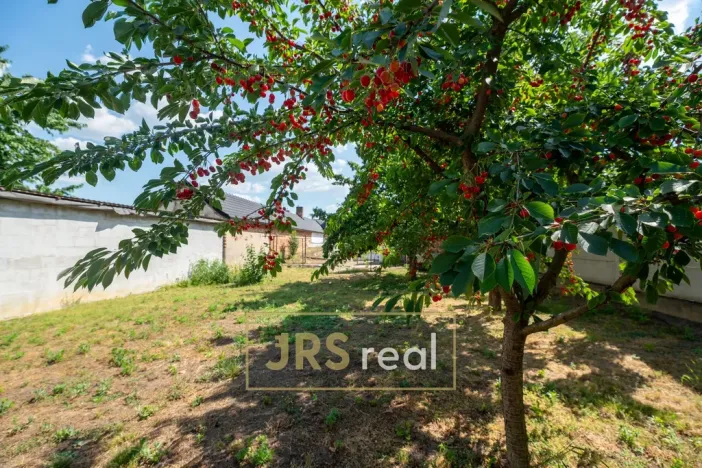 Prodej rodinného domu, Moravská Nová Ves, 120 m2