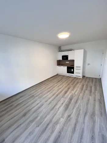 Pronájem bytu 1+kk, Olomouc - Neředín, Frištenského, 32 m2