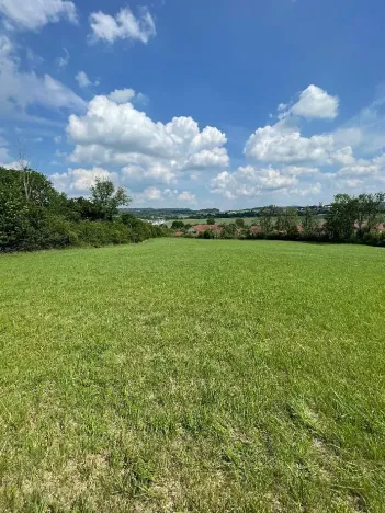 Prodej louky, Luže, 11020 m2