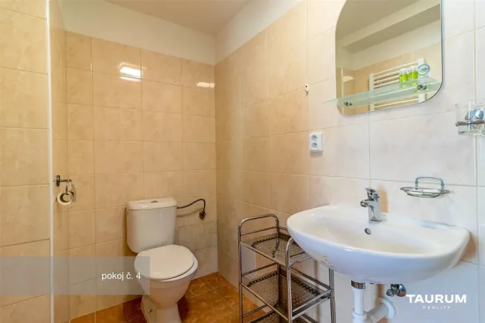 Prodej ubytování, České Budějovice - České Budějovice 6, Mayerova, 269 m2
