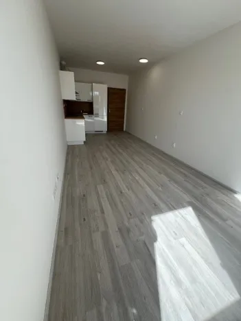 Pronájem bytu 1+kk, Plzeň - Jižní Předměstí, Goldscheiderova, 29 m2