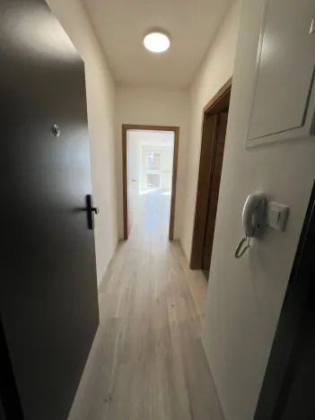 Pronájem bytu 1+kk, Plzeň - Jižní Předměstí, Goldscheiderova, 29 m2