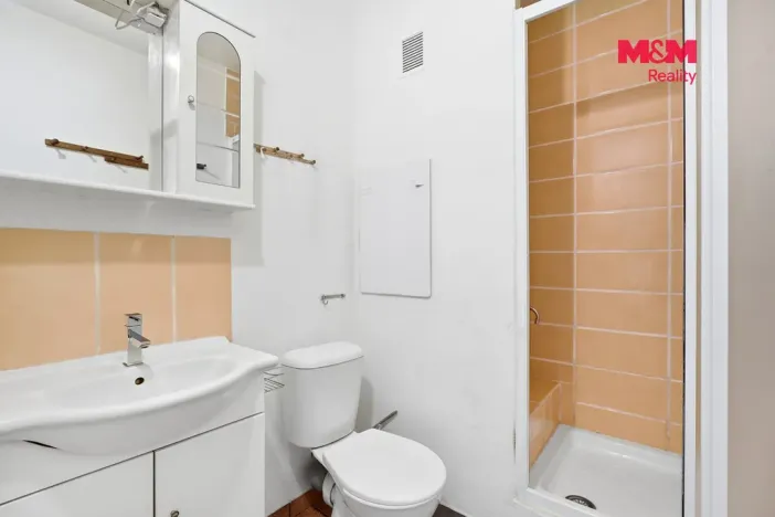 Prodej bytu 1+1, Děčín - Děčín III-Staré Město, Oblouková, 36 m2