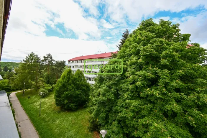Prodej bytu 2+1, Brno - Kohoutovice, Stamicova, 59 m2