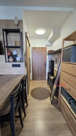 Pronájem bytu 1+kk, Opava - Kateřinky, Antonína Sovy, 21 m2