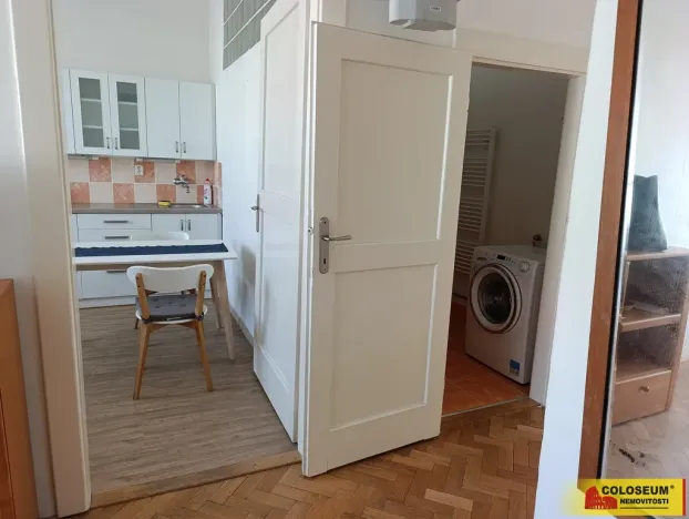 Pronájem bytu 1+1, Brno - Veveří, 57 m2