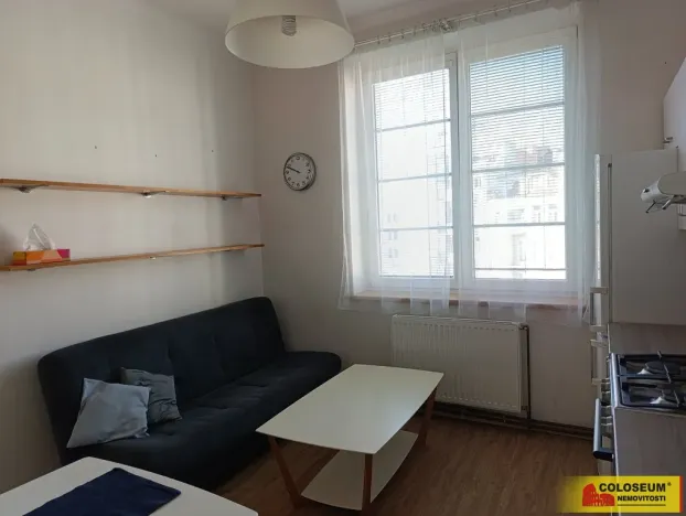 Pronájem bytu 1+1, Brno - Veveří, 57 m2