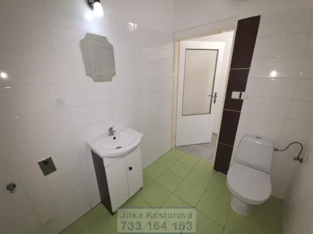 Pronájem bytu 1+kk, Krnov - Pod Cvilínem, Textilní, 35 m2