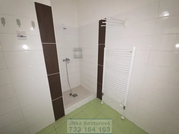 Pronájem bytu 1+kk, Krnov - Pod Cvilínem, Textilní, 35 m2