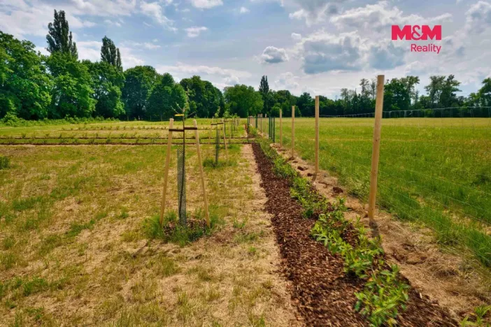 Prodej zahrady, Hradec Králové, 500 m2