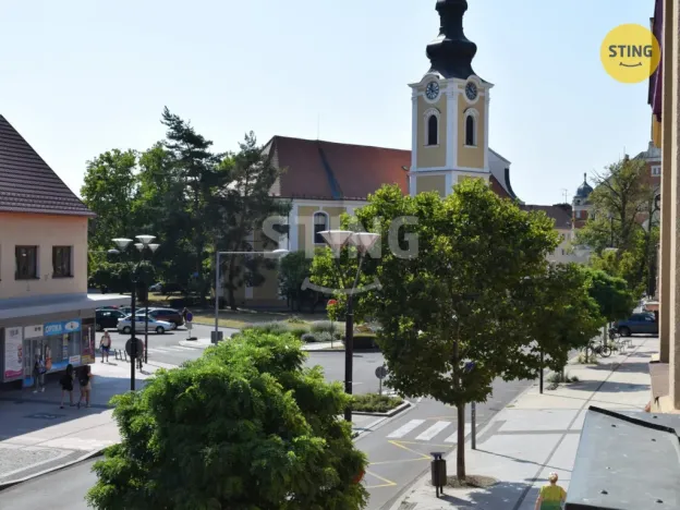 Pronájem obchodního prostoru, Hodonín, Národní třída, 401 m2
