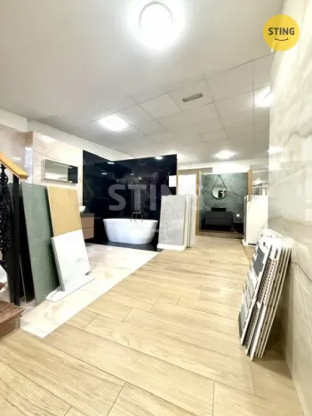 Pronájem obchodního prostoru, Hodonín, Národní třída, 401 m2