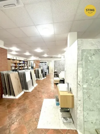 Pronájem obchodního prostoru, Hodonín, Národní třída, 401 m2