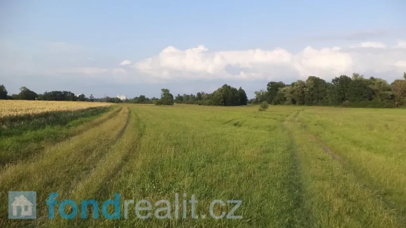 Prodej pozemku, Pustějov, 9886 m2