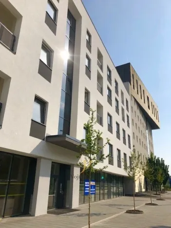 Pronájem bytu 2+kk, Olomouc, Wolkerova, 38 m2