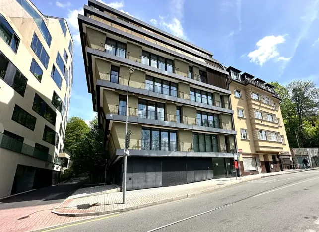 Prodej bytu 3+kk, Karlovy Vary, Pražská silnice, 102 m2