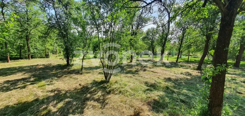 Prodej rodinného domu, Tečovice, 300 m2