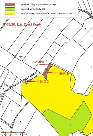Prodej lesa, Dívčí Kopy, 1088 m2