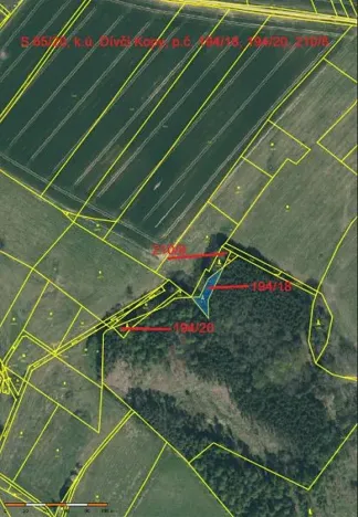 Prodej lesa, Dívčí Kopy, 1088 m2