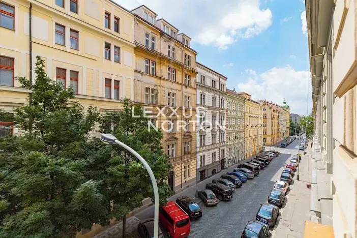 Pronájem bytu 2+1, Praha - Vinohrady, Slezská, 78 m2