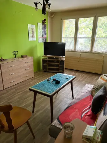 Prodej bytu 2+1, Český Krumlov - Plešivec, Věncova, 55 m2