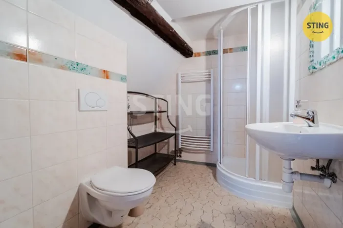 Prodej komerční nemovitosti, Dolní Moravice, 480 m2