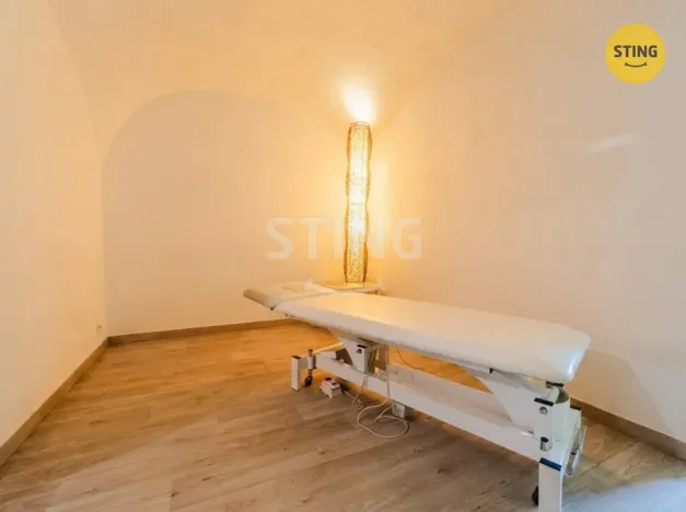Prodej komerční nemovitosti, Dolní Moravice, 480 m2