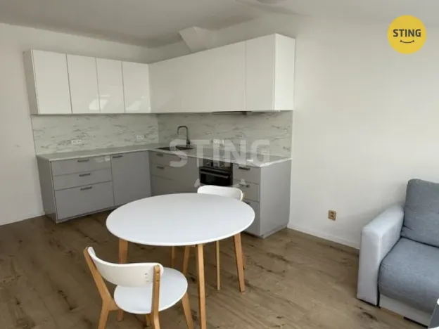 Pronájem bytu 2+kk, Frýdek-Místek, Radniční, 57 m2