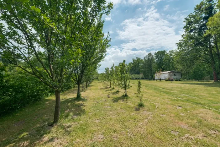Prodej pozemku, Vyšní Lhoty, 14636 m2