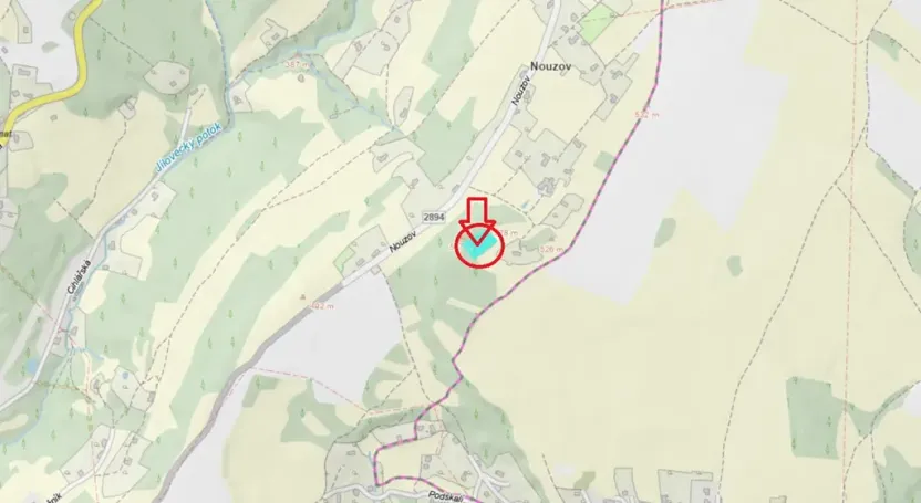 Prodej lesa, Semily, 2671 m2