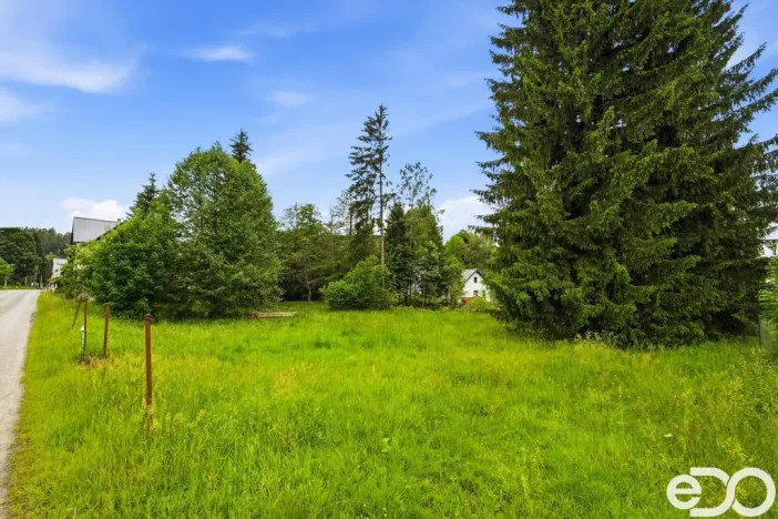 Prodej pozemku pro bydlení, Janov nad Nisou - Loučná nad Nisou, 1182 m2