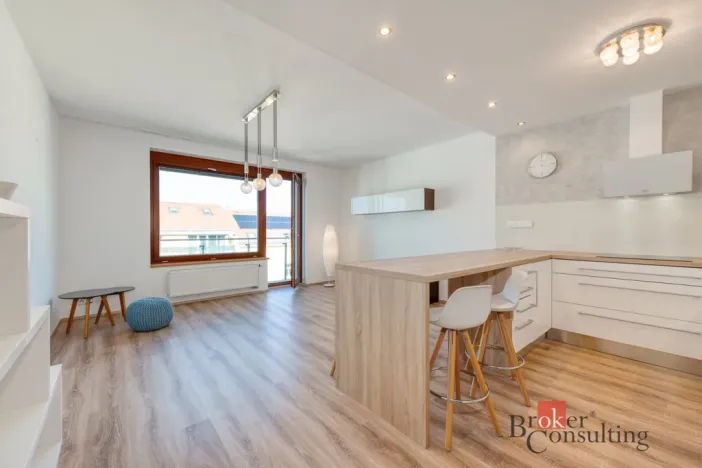 Pronájem bytu 2+kk, Praha - Holešovice, Na Maninách, 60 m2