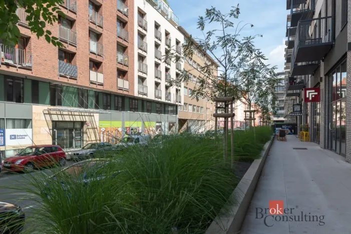 Pronájem bytu 2+kk, Praha - Holešovice, Na Maninách, 60 m2
