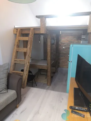Pronájem bytu 1+kk, České Budějovice, K. Vinařického, 33 m2