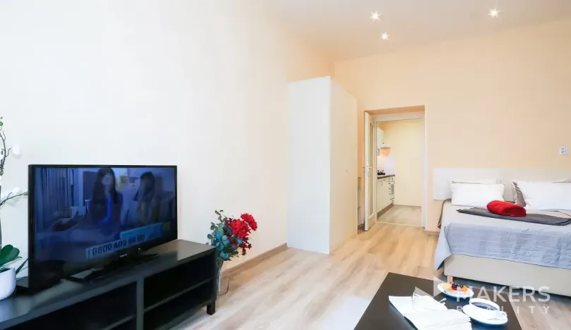Pronájem bytu 1+1, Praha - Vinohrady, Máchova, 40 m2